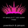 Stream & download Ich glaub, ich f*** Dich später - Single