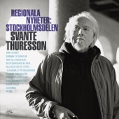 Regionala nyheter: Stockholmsdelen artwork