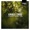 Edvard Grieg - Andante con moto in C minor for piano trio