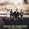 Mean Mr Mustard