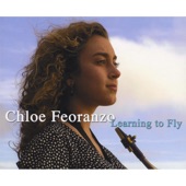 Learning to Fly artwork