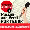 Turandot: Nessun Dorma - Andante Sostenuto (no Vocals) [Karaoke Version] song lyrics