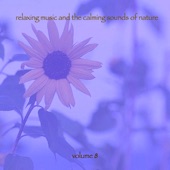 Relaxing Music & The Calming Sounds of Nature, Vol. 8 artwork