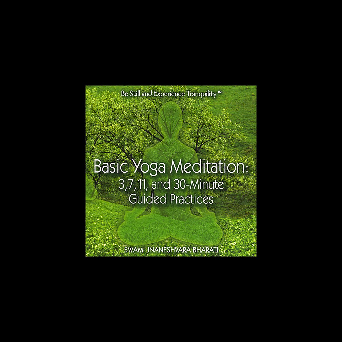 ‎Basic Yoga Meditation: 3, 7, 11, and 30-minute Guided Practices by ...