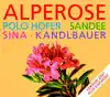 Alperose (2007 Version) - Single album lyrics, reviews, download