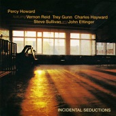 Incidental Seductions artwork