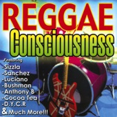 Reggae Consciousness artwork