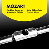 Mozart: The Flute Concertos & Andante In C Major artwork