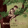 Mending the Meaning - EP