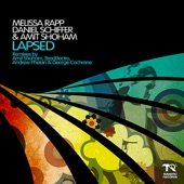 Lapsed (Andrew Phelan & George Cochrane Remix) artwork