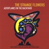 The Strange Flowers - Aeroplanes