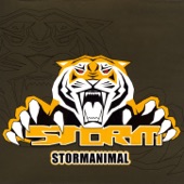 Storm Animal (Club Mix) artwork