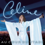 Celine Dion - S'il Suffisait D'aimer Lyrics