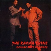 Ragga Twins - Hooligan 69