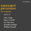 The Manhattan Percussion Ensemble - Roldan - Two Ritmicas - I. No. 6 Tiempo de Rhumba