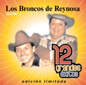 Los Broncos de Reynosa: 12 Grandes Exitos, Vol. 2