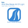 And She Made It All of Light - Single