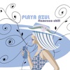 Playa Azul Vol. 1, 2011
