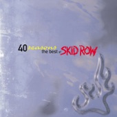 40 Seasons - The Best of Skid Row artwork