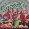 Gaitas Para la Eternidad, 2002