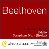 Symphony No. 5 In C Minor, Op. 67 (Beethoven's Fifth) - Allegro Con Brio artwork