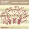Knowing (2011 Remixes) (feat. Stephanie Renee)