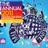 Ministry Of Sound - The Annual 2011 artwork