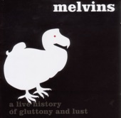 Melvins - Going Blind