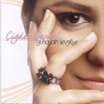 Saymadım Kaç Yıl Oldu