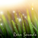 Woodland Rain Shower - Calmsound
