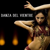 Danza del Vientre y Musica Arabe artwork