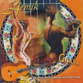 Fuego Gitana, the Nuevo Flamenco Collection artwork