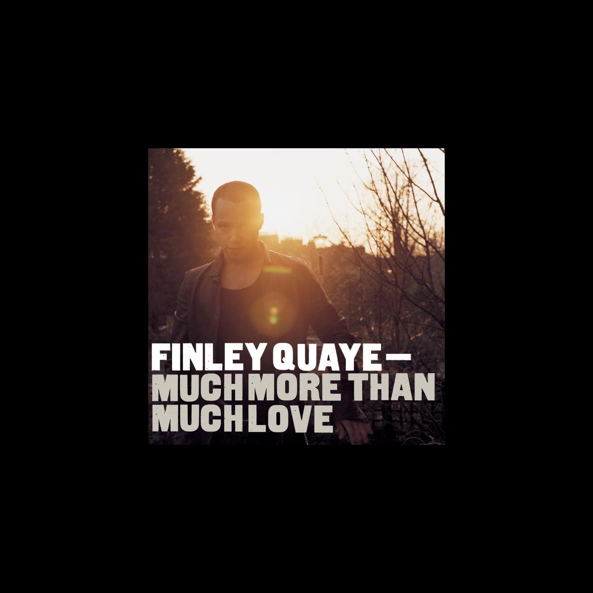 ‎Much More Than Much Love by Finley Quaye on Apple Music