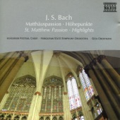 Bach, J.S.: St. Matthew Passion (Highlights) artwork