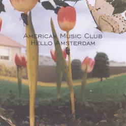 Hello Amsterdam - EP - American Music Club