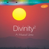 Divinity 2 - A Musical Unity artwork