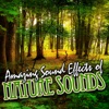 Amazing Sound Effects of Nature Sounds