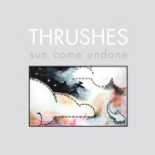 Thrushes - Roy