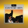 #1 Country Hits (Re-recorded Version)