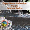 Gipsy Music Collection Vol. 13, 2008