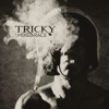 Tricky - Time to Dance