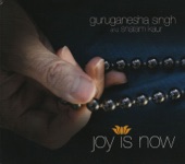 Joy Is Now, 2008