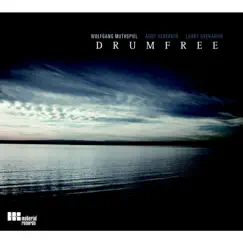 Drumfree by Drumfree, Andy Scherrer, Larry Grenadier & Wolfgang Muthspiel album reviews, ratings, credits