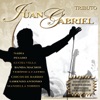 Tributo a Juan Gabriel