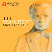 Impromptus, D. 899 (Op. 90): No. 1 in C Minor (Allegro molto moderato) artwork