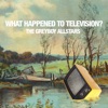 What Happened to Television?, 2007