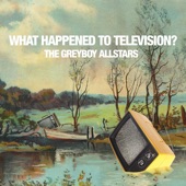 The Greyboy Allstars - What Happened to Television?