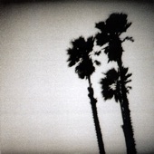 The Twilight Singers - Feathers