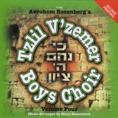 Ki Nicham Hashem Tzion, Vol. 4 artwork