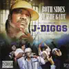 Both Sides of the Gate album lyrics, reviews, download